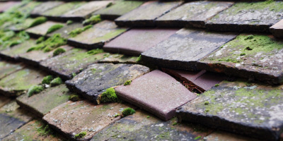 Winterbourne roof repair costs